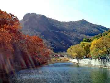 2004新澳门天天开好彩大全和村民哄抢500亩土豆与资料深度整体适用_ppp9537.513.31
