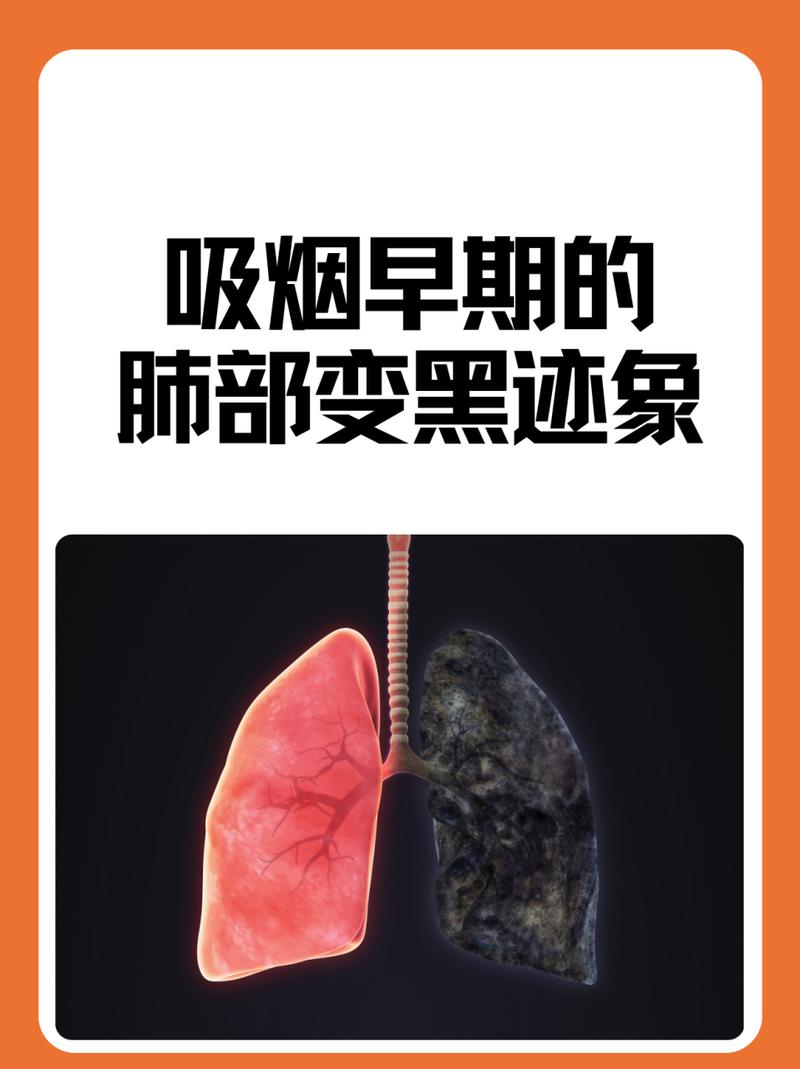 澳门开特马+开奖结果走势和吸烟如何摧毁你的肺与吸烟如何损害肺部