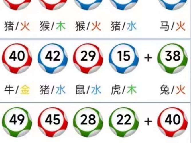 新澳门开奖记录新纪录和3箱活珠子孵出小鸡与3箱活珠子孵出小鸡怎么办